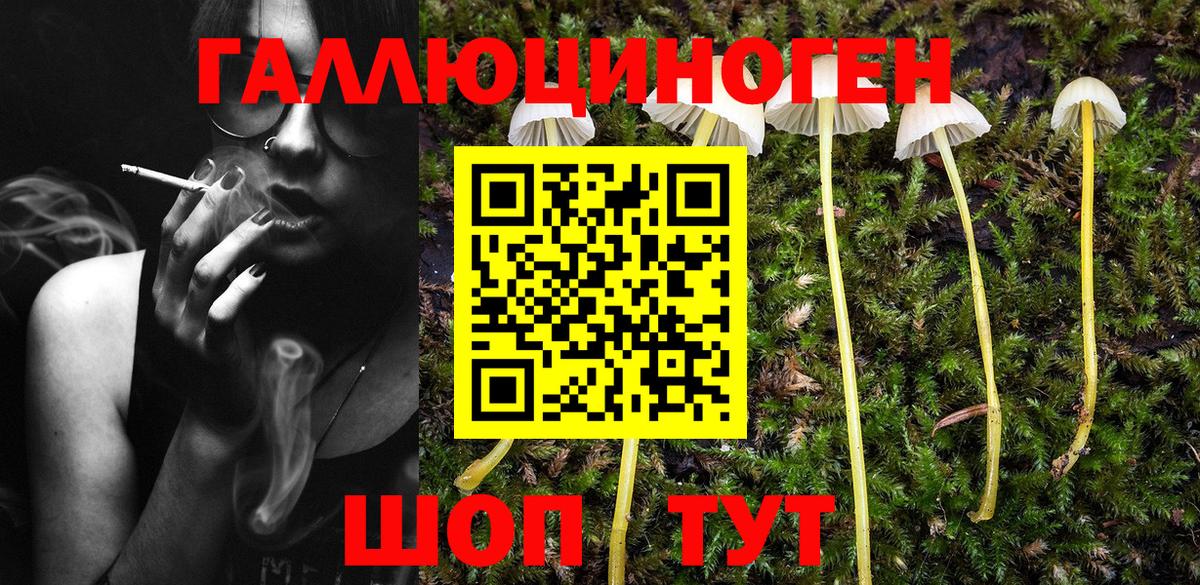 Псилоцибиновые грибы мухоморы Азнакаево
