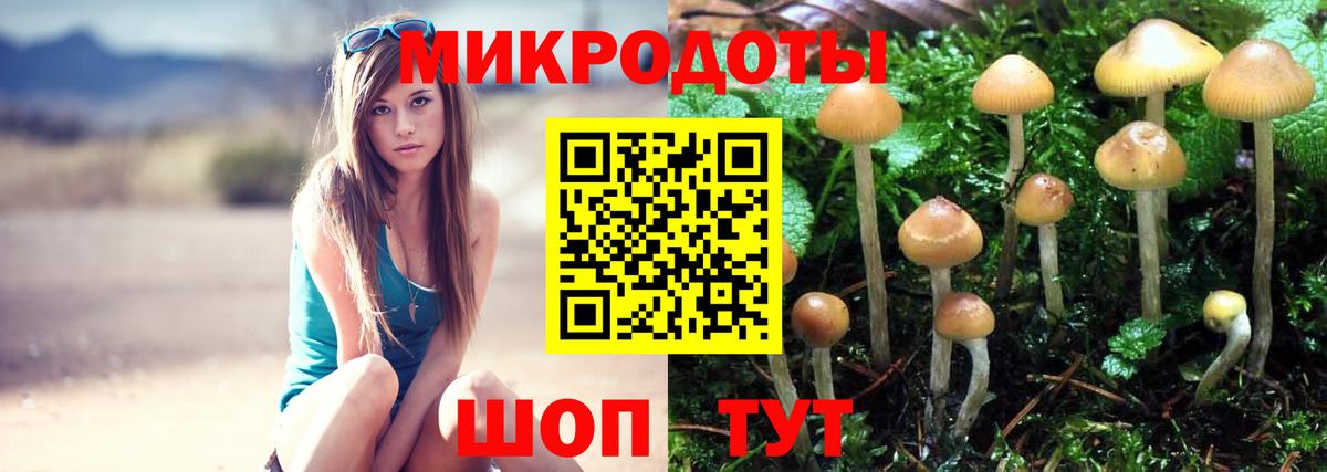 Галлюциногенные грибы мицелий  Вход с VPN  Азнакаево 